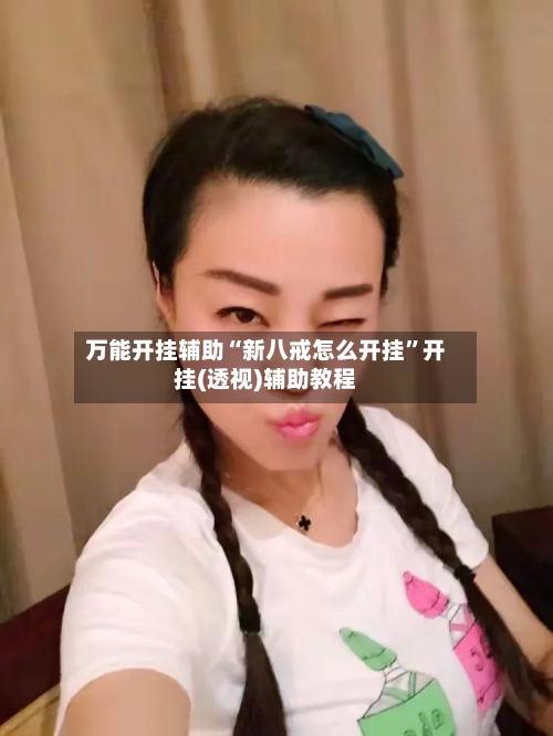 万能开挂辅助“新八戒怎么开挂”开挂(透视)辅助教程-第3张图片