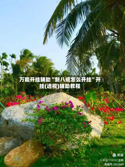 万能开挂辅助“新八戒怎么开挂”开挂(透视)辅助教程-第2张图片