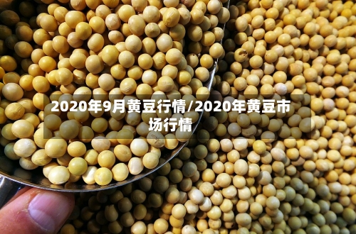 2020年9月黄豆行情/2020年黄豆市场行情