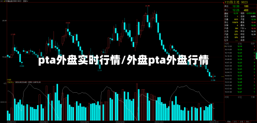 pta外盘实时行情/外盘pta外盘行情