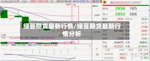 绿豆期货最新行情/绿豆期货最新行情分析-第3张图片