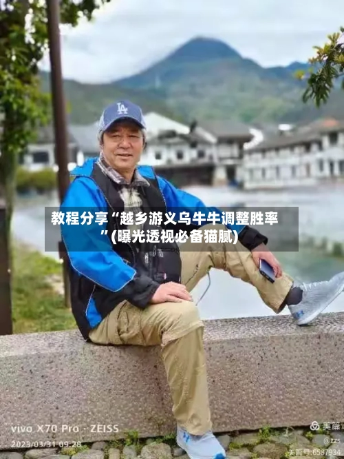 教程分享“越乡游义乌牛牛调整胜率”(曝光透视必备猫腻)-第3张图片
