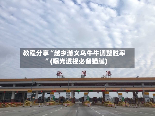 教程分享“越乡游义乌牛牛调整胜率”(曝光透视必备猫腻)-第2张图片