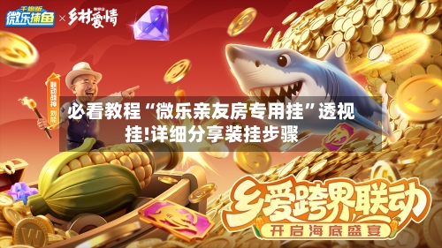 必看教程“微乐亲友房专用挂”透视挂!详细分享装挂步骤-第2张图片
