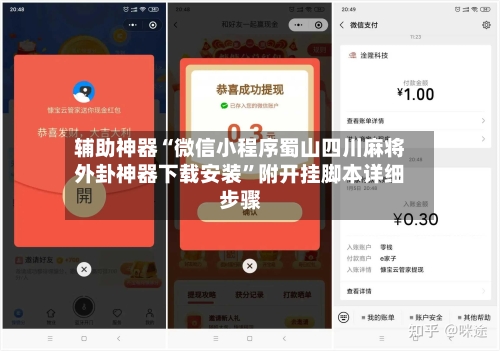 辅助神器“微信小程序蜀山四川麻将外卦神器下载安装”附开挂脚本详细步骤-第3张图片