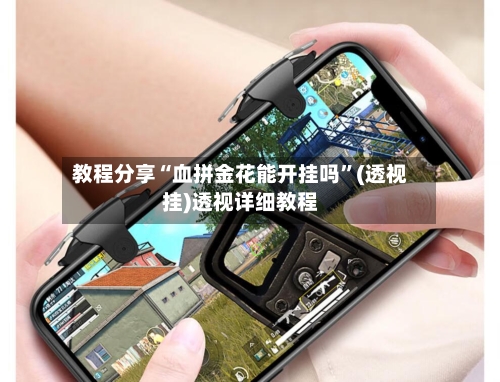 教程分享“血拼金花能开挂吗”(透视挂)透视详细教程-第2张图片