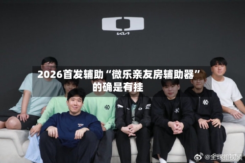 2026首发辅助“微乐亲友房辅助器”的确是有挂