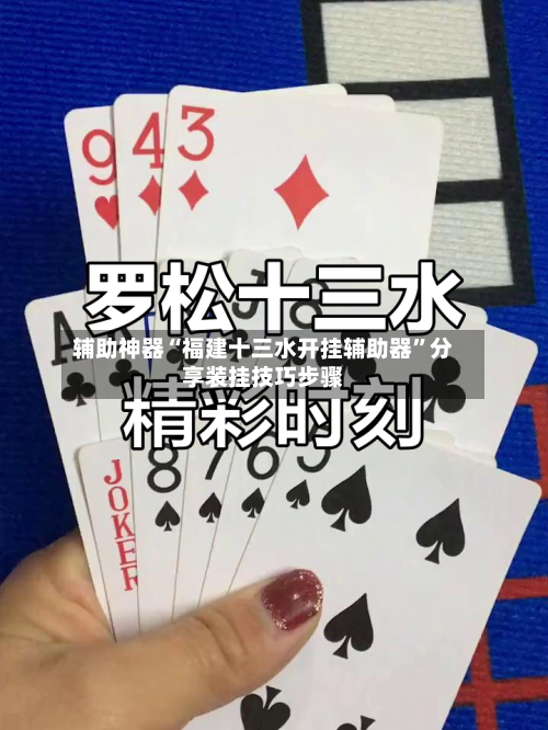 辅助神器“福建十三水开挂辅助器”分享装挂技巧步骤