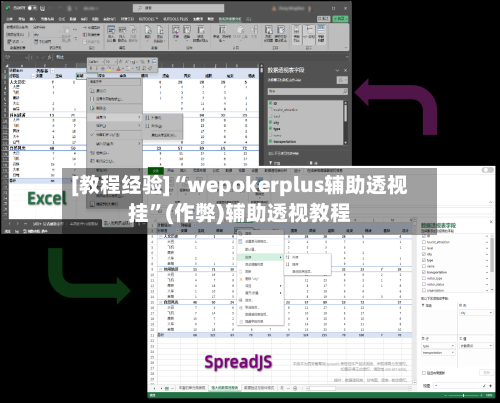 [教程经验]“wepokerplus辅助透视挂”(作弊)辅助透视教程-第3张图片