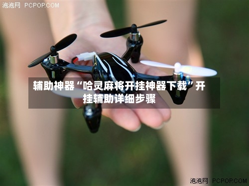 辅助神器“哈灵麻将开挂神器下载”开挂辅助详细步骤