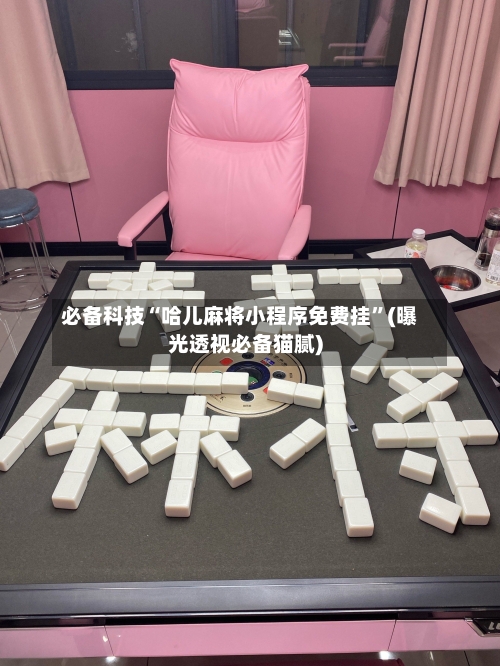 必备科技“哈儿麻将小程序免费挂”(曝光透视必备猫腻)-第2张图片
