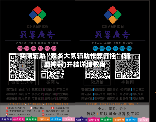实测辅助“家乡大贰辅助作弊开挂”(辅助神器)开挂详细教程