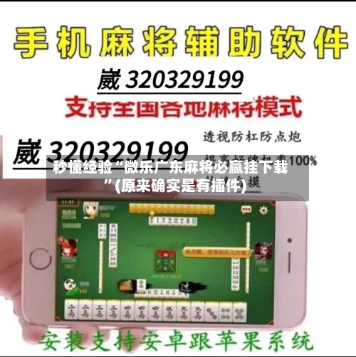 秒懂经验“微乐广东麻将必赢挂下载	”(原来确实是有插件)-第2张图片