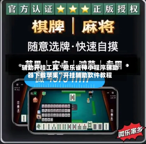 辅助开挂工具“微乐雀神小程序辅助器下载苹果”开挂辅助软件教程-第3张图片