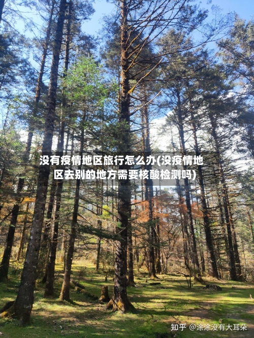 没有疫情地区旅行怎么办(没疫情地区去别的地方需要核酸检测吗)-第2张图片