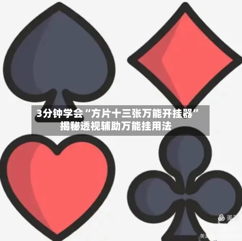 3分钟学会“方片十三张万能开挂器”揭秘透视辅助万能挂用法-第3张图片