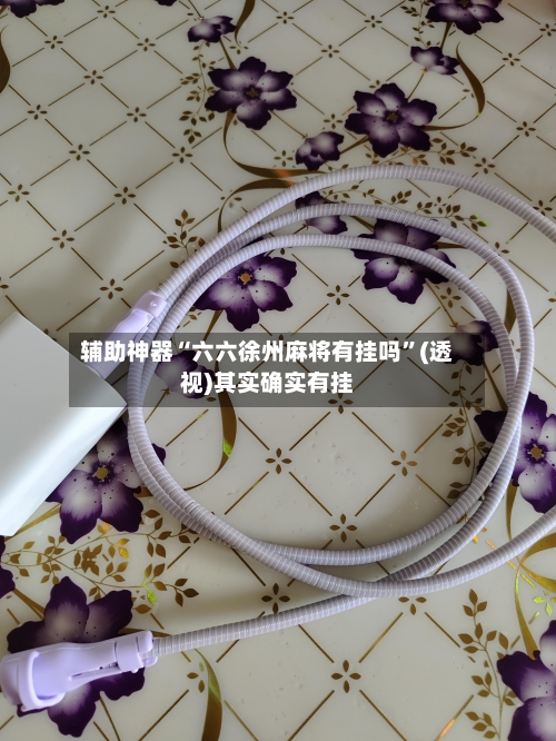 辅助神器“六六徐州麻将有挂吗”(透视)其实确实有挂-第3张图片
