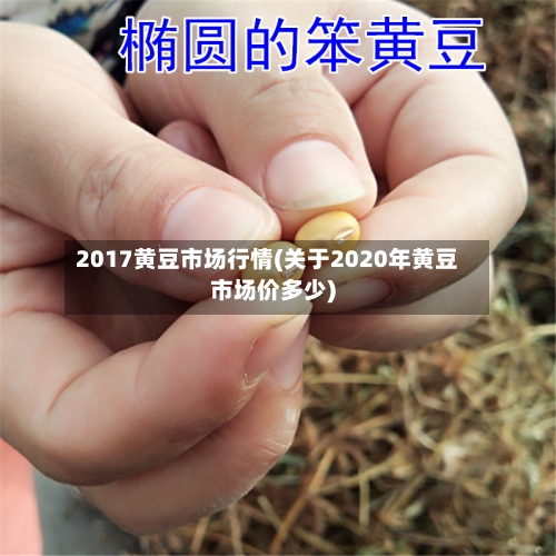 2017黄豆市场行情(关于2020年黄豆市场价多少)