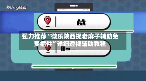 强力推荐“微乐陕西捉老麻子辅助免费插件”详细透视辅助教程