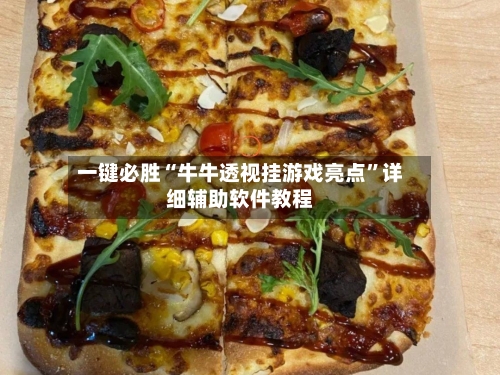 一键必胜“牛牛透视挂游戏亮点”详细辅助软件教程-第2张图片