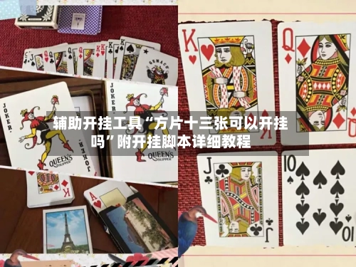 辅助开挂工具“方片十三张可以开挂吗	”附开挂脚本详细教程-第3张图片