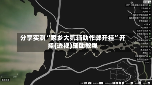 分享实测“家乡大贰辅助作弊开挂”开挂(透视)辅助教程