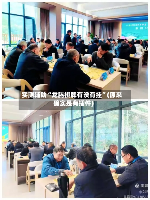 实测辅助“龙腾棋牌有没有挂”(原来确实是有插件)-第2张图片