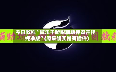 今日教程“微乐干瞪眼辅助神器开挂纯净版”(原来确实是有插件)-第2张图片