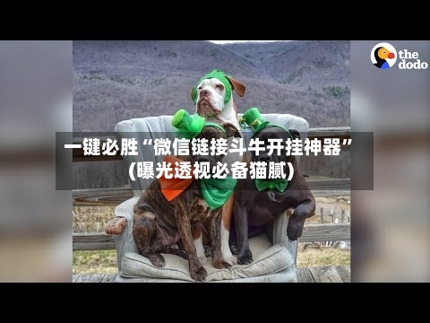 一键必胜“微信链接斗牛开挂神器”(曝光透视必备猫腻)