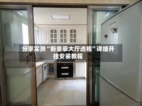 分享实测“新皇豪大厅透视”详细开挂安装教程