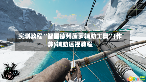 实测教程“智星德州菠萝辅助工具	”(作弊)辅助透视教程-第2张图片