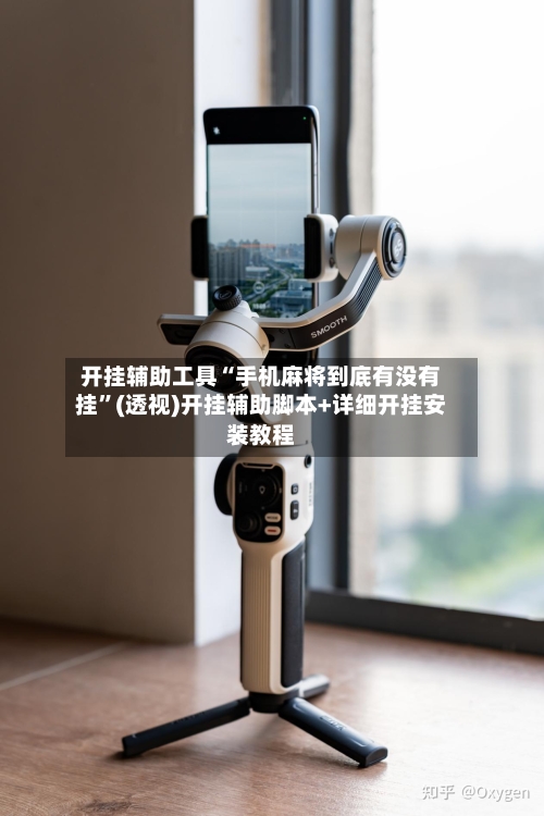 开挂辅助工具“手机麻将到底有没有挂	”(透视)开挂辅助脚本+详细开挂安装教程-第2张图片
