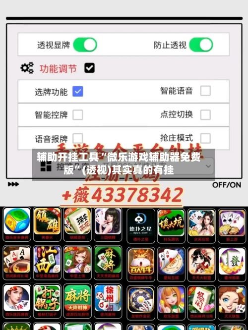 辅助开挂工具“微乐游戏辅助器免费版”(透视)其实真的有挂-第3张图片