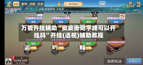 万能开挂辅助“皮皮衡阳字牌可以开挂吗	”开挂(透视)辅助教程-第2张图片