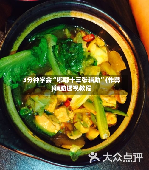 3分钟学会“嘟嘟十三张辅助”(作弊)辅助透视教程-第2张图片