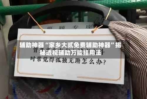 辅助神器“家乡大贰免费辅助神器”揭秘透视辅助万能挂用法-第3张图片