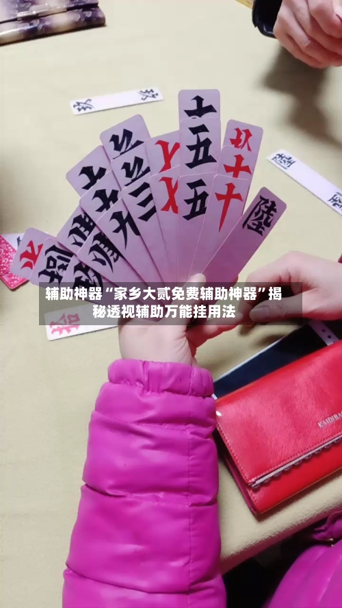 辅助神器“家乡大贰免费辅助神器”揭秘透视辅助万能挂用法-第2张图片