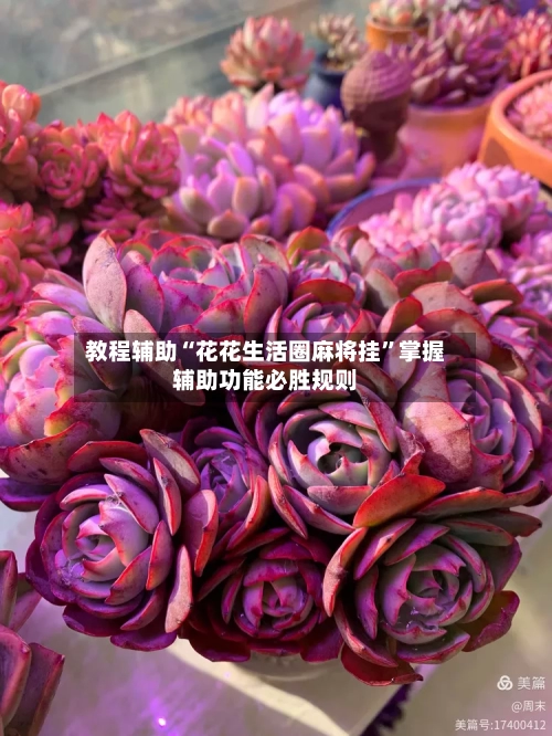 教程辅助“花花生活圈麻将挂	”掌握辅助功能必胜规则-第2张图片