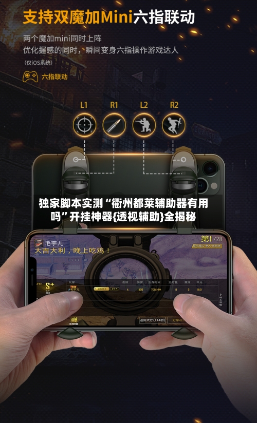 独家脚本实测“衢州都莱辅助器有用吗”开挂神器{透视辅助}全揭秘