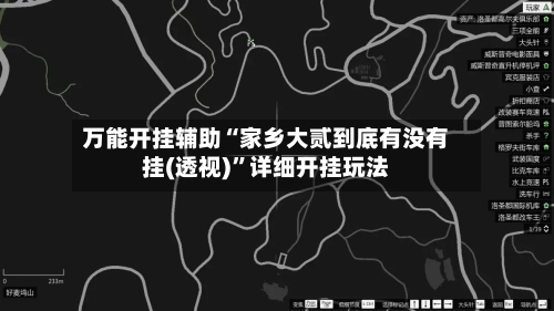 万能开挂辅助“家乡大贰到底有没有挂(透视)	”详细开挂玩法-第2张图片