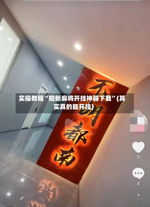 实操教程“阳新麻将开挂神器下载	”(其实真的能开挂)-第2张图片