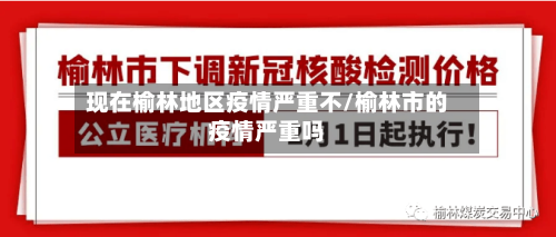 现在榆林地区疫情严重不/榆林市的疫情严重吗