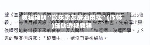 教程辅助“微乐亲友房通用挂”(作弊)辅助透视教程