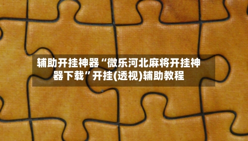 辅助开挂神器“微乐河北麻将开挂神器下载”开挂(透视)辅助教程