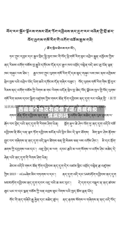 西藏哪个地区有疫情了呢/西藏有疫情病例吗-第2张图片