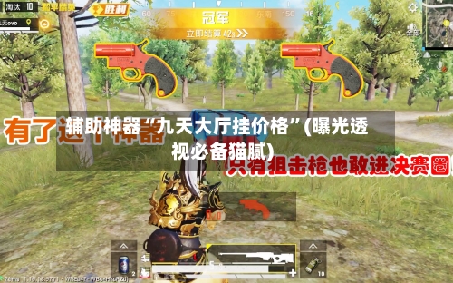 辅助神器“九天大厅挂价格”(曝光透视必备猫腻)-第2张图片