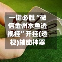 一键必胜“微信金州水鱼透视挂”开挂(透视)辅助神器-第3张图片