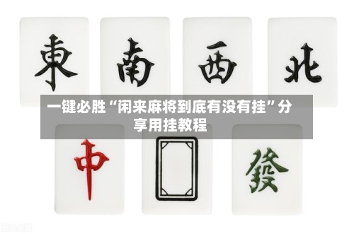 一键必胜“闲来麻将到底有没有挂	”分享用挂教程-第2张图片