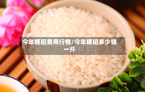 今年粳稻费用行情/今年粳稻多少钱一斤-第2张图片