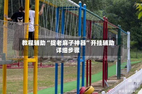 教程辅助“捉老麻子神器”开挂辅助详细步骤-第2张图片